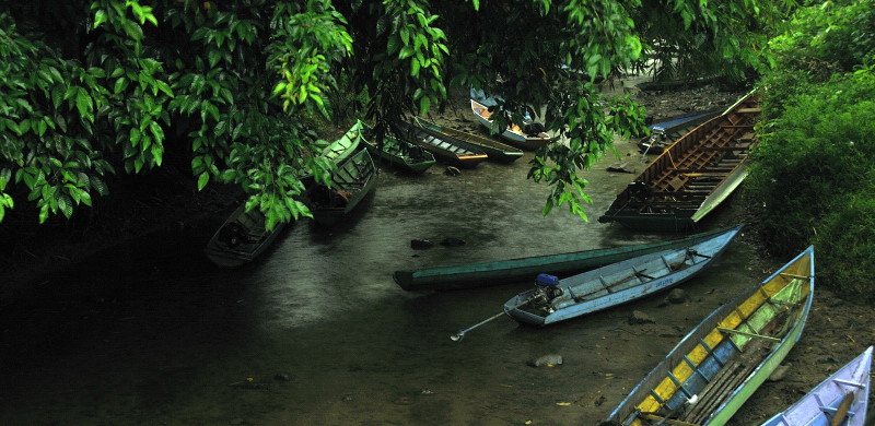 Long Pujungan, Malinau county, Borneo